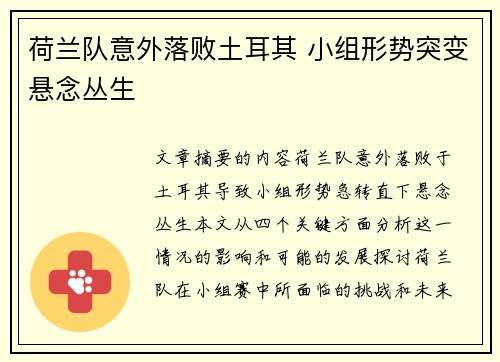 荷兰队意外落败土耳其 小组形势突变悬念丛生