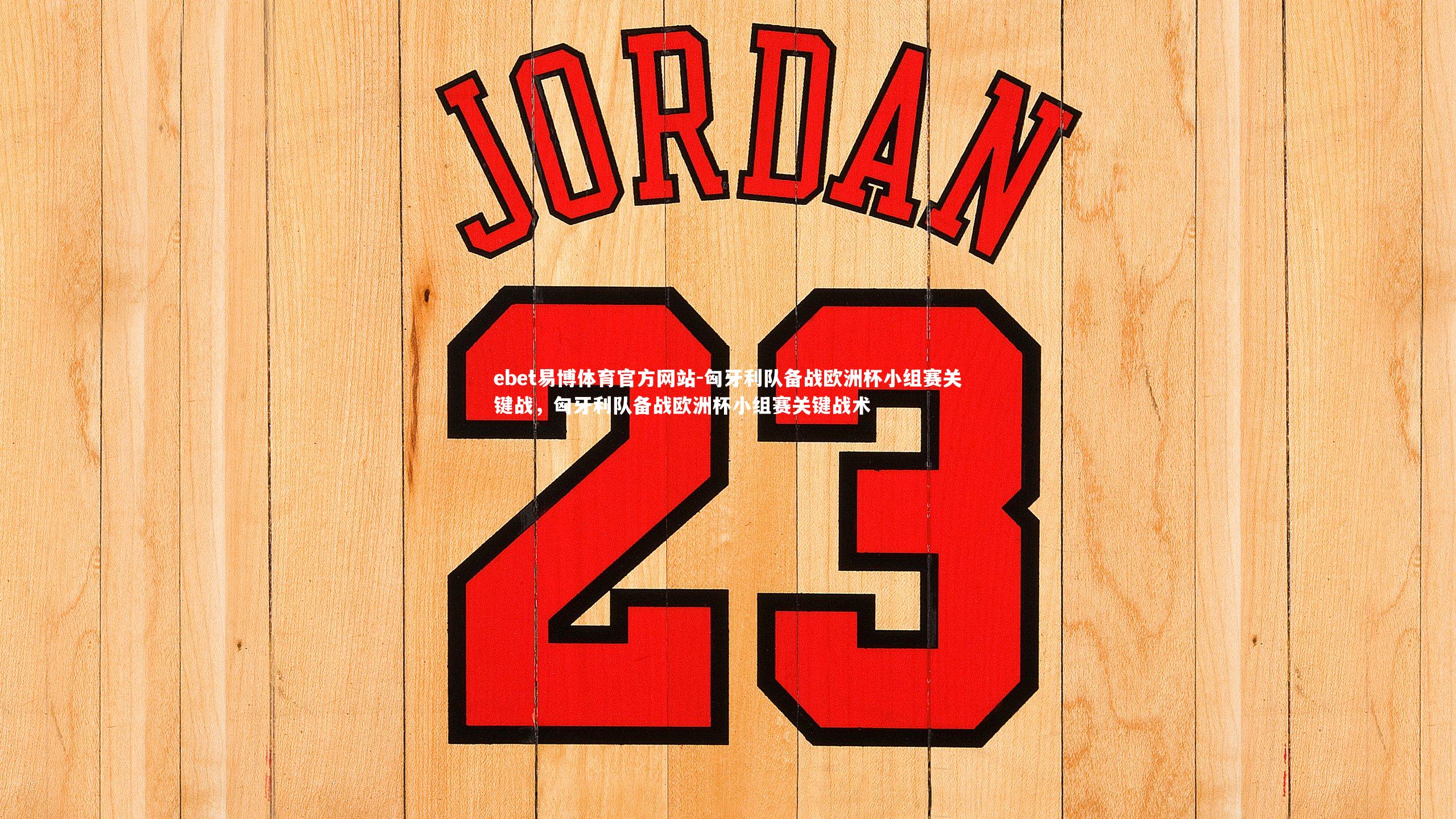 匈牙利队备战欧洲杯小组赛关键战，匈牙利队备战欧洲杯小组赛关键战术