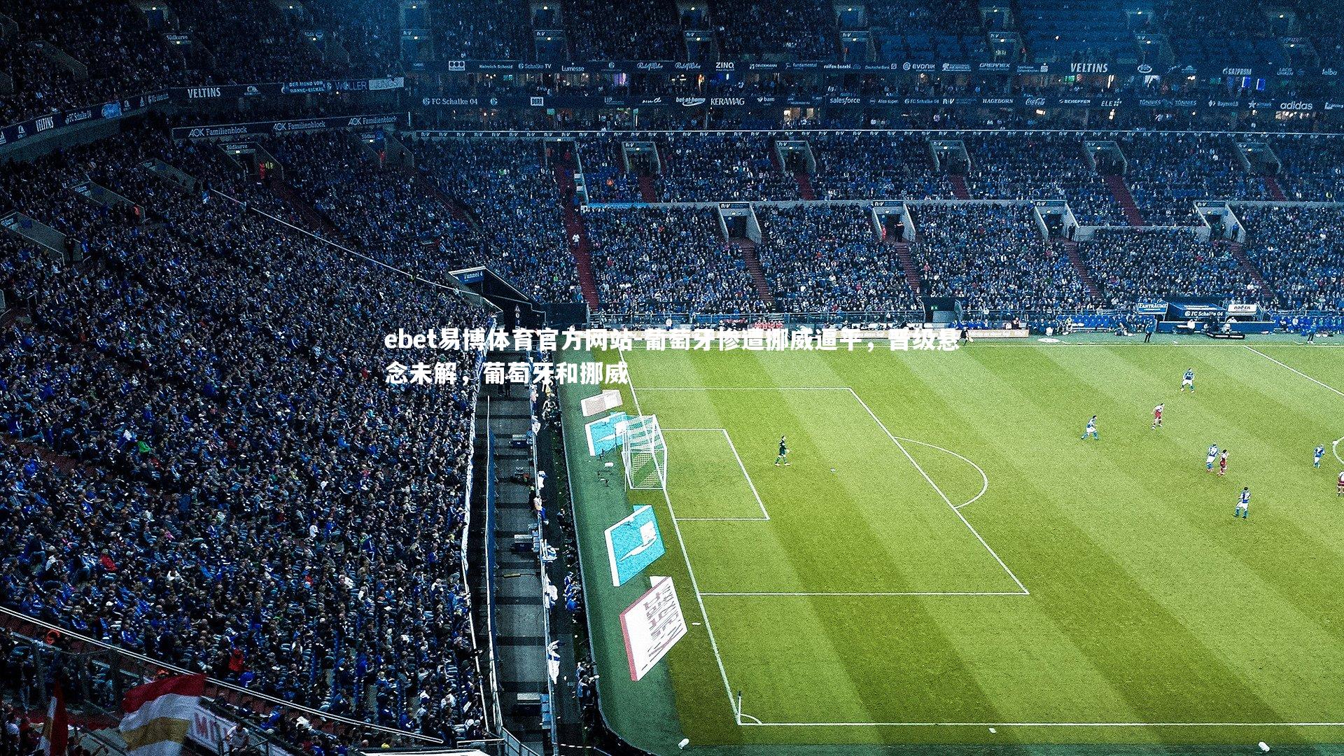 ebet易博体育官方网站-葡萄牙惨遭挪威逼平，晋级悬念未解，葡萄牙和挪威